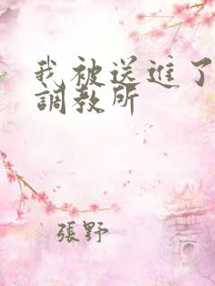 我被送进了私奴调教所