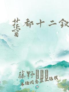 花都十二钗无弹窗