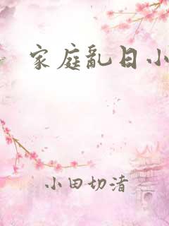 家庭乱日小说