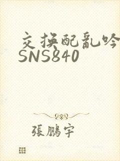 交换配乱吟粗大SNS840