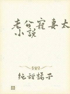 老公宠妻太甜蜜 小说