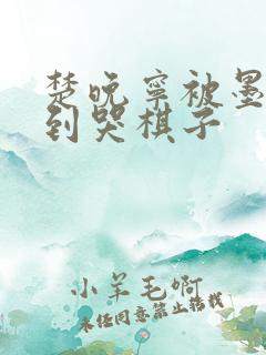 楚晚宁被墨燃做到哭棋子