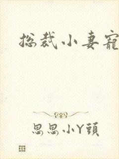 总裁小妻宠上天