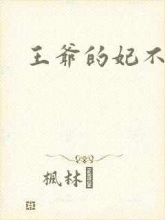 王爷的妃不是妃