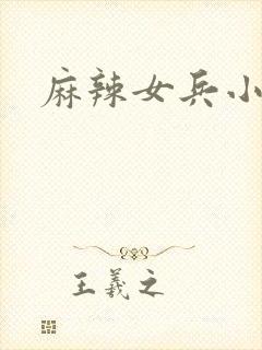 麻辣女兵小说版