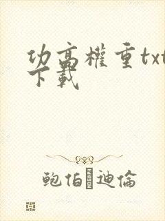 功高权重txt下载