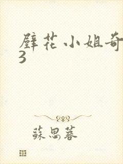 壁花小姐奇遇记3