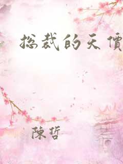 总裁的天价宝贝