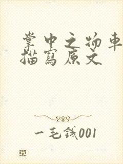 掌中之物车里震描写原文