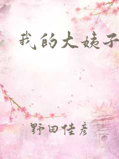 我的大姨子