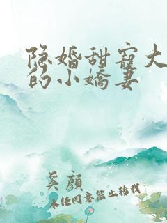 隐婚甜宠大财阀的小娇妻