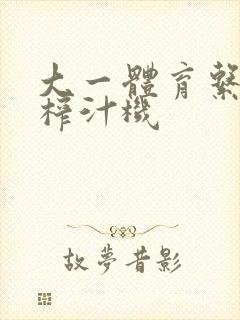 大一体育系精牛榨汁机