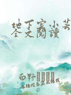 地下室小芸父亲全文阅读