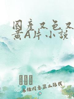 国产又色又爽又黄A片小说