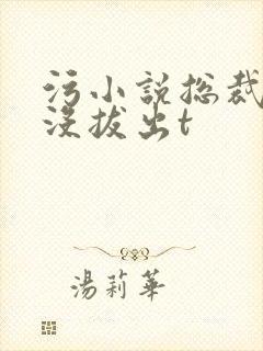 污小说总裁整夜没拔出t