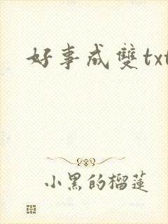 好事成双txt