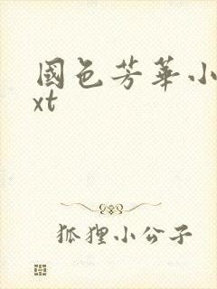 国色芳华小说txt