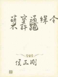 萌宝通缉令妈味不许跑