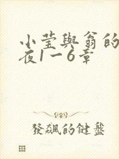 小莹与翁的销魂夜1一6章