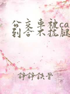 公交车被cao到合不拢腿app