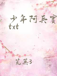 少年阿兵宾小说txt