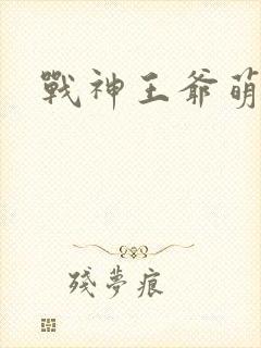 战神王爷萌虎妃