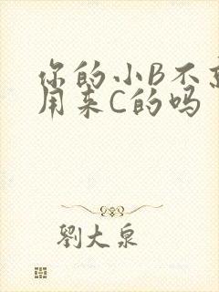 你的小B不就是用来C的吗