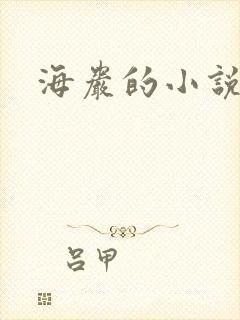 海岩的小说