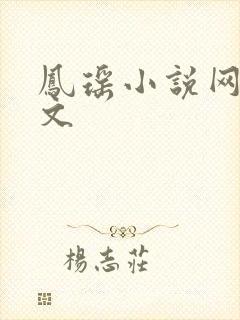 凤瑶小说网高辣文