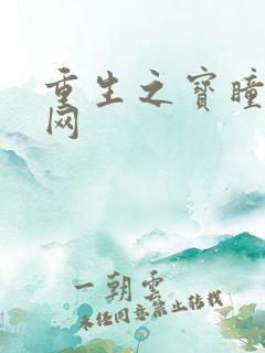 重生之宝瞳书书网