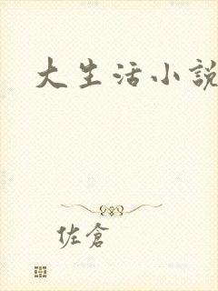 大生活小说