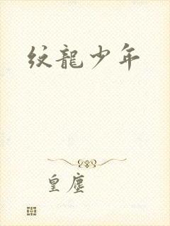 纹龙少年