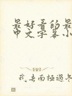 最好看的最新的中文字幕小说