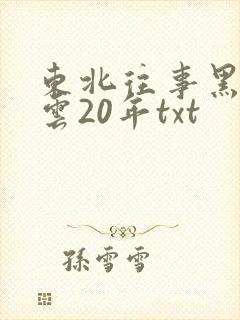 东北往事黑道风云20年txt