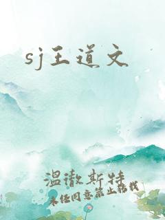 sj王道文