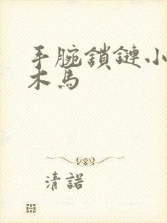 手腕锁链小黑屋木马