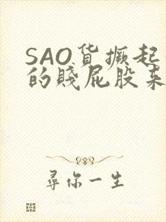 SAO货撅起你的贱屁股来