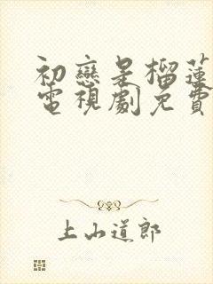 初恋是榴莲先生电视剧免费观看