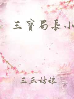 三宝局长小说