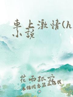 车上激情(h)小说