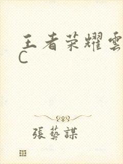 王者荣耀云缨被C