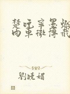 楚晚宁墨燃所有肉车微博截图