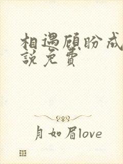 相遇顾盼成欢小说免费