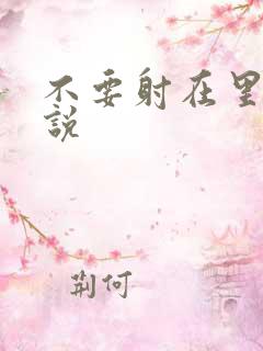 不要射在里面小说