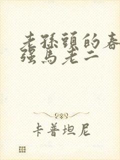 老孙头的春天马强马老二