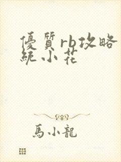 优质rb攻略系统小花