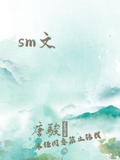 sm文