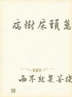 病树床头万木春