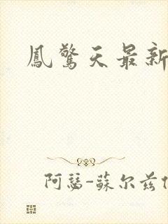 凤惊天最新章节