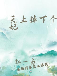 天上掉下个奇王妃